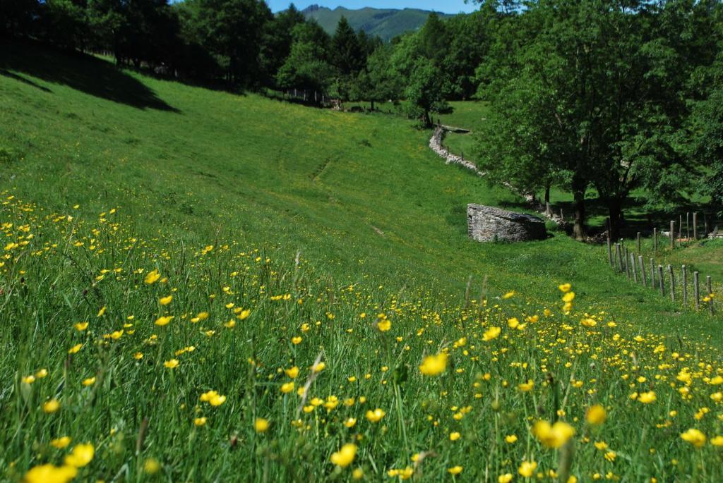 Agriturismo Le Radici Сан Феделе Интелви Екстериор снимка