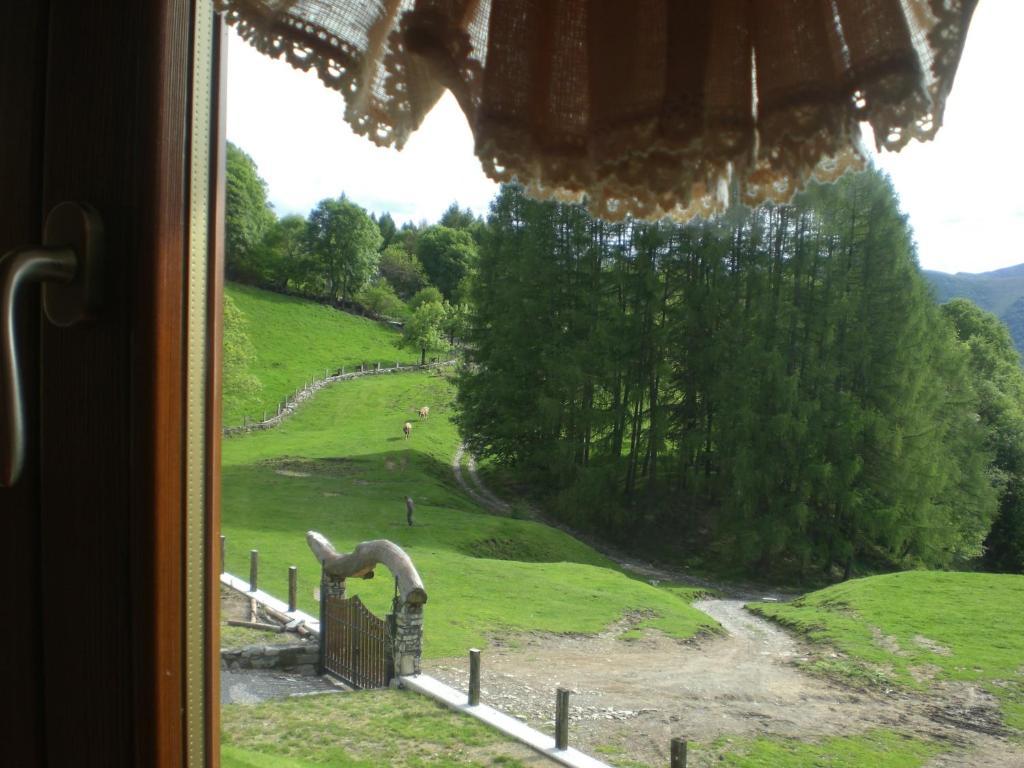 Agriturismo Le Radici Сан Феделе Интелви Стая снимка