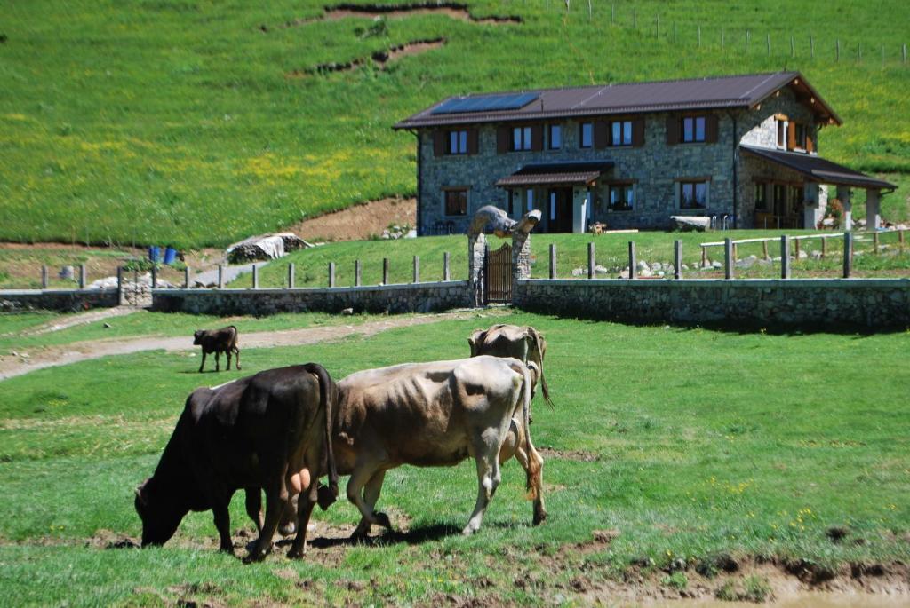 Agriturismo Le Radici Сан Феделе Интелви Екстериор снимка