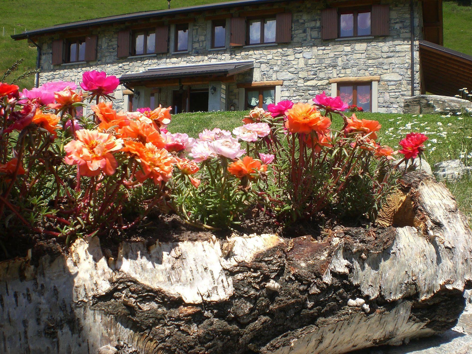 Agriturismo Le Radici Сан Феделе Интелви Екстериор снимка