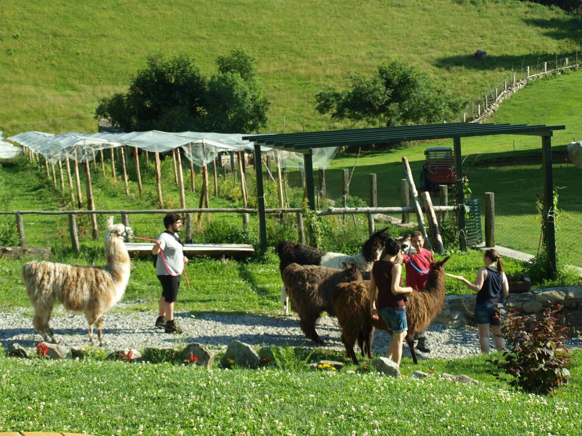 Agriturismo Le Radici Сан Феделе Интелви Екстериор снимка