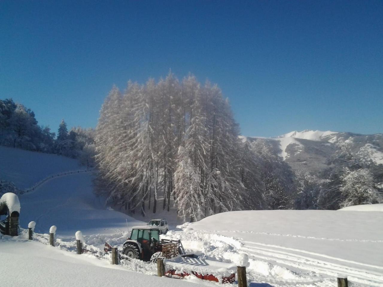 Agriturismo Le Radici Сан Феделе Интелви Екстериор снимка