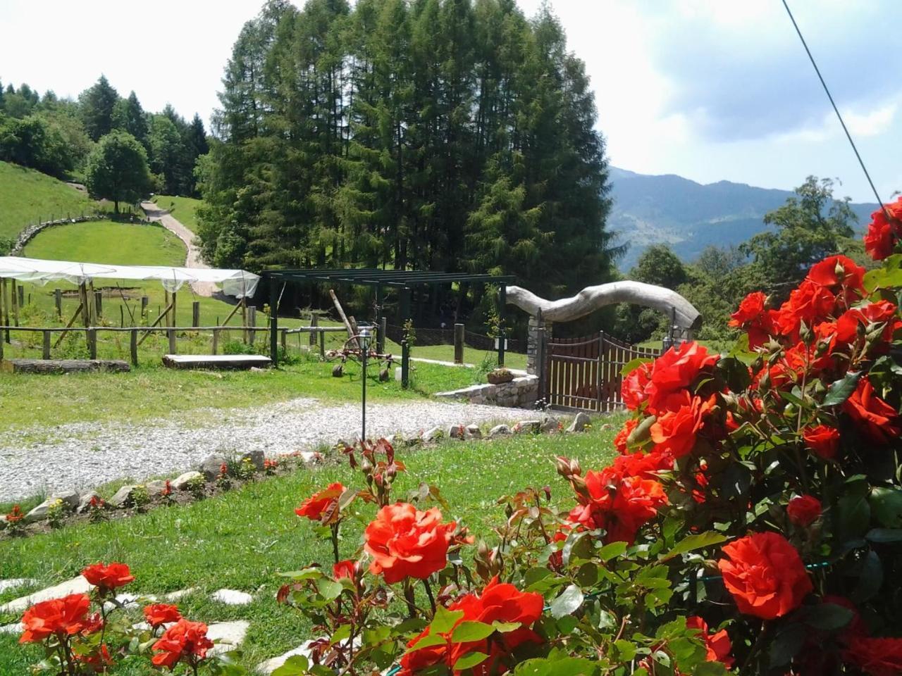 Agriturismo Le Radici Сан Феделе Интелви Екстериор снимка